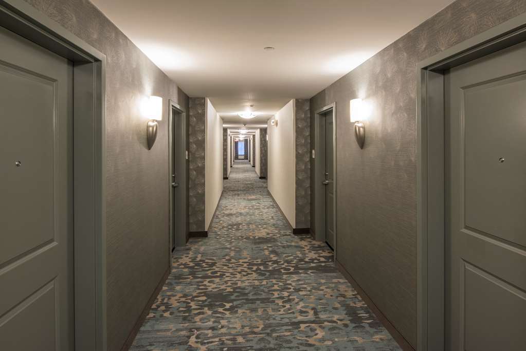 Hilton Garden Inn Mount Holly/Westampton מראה פנימי תמונה